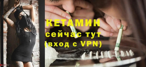сатива Володарск