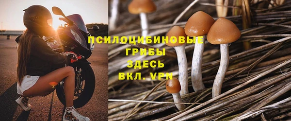 сатива Володарск