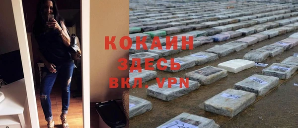 сатива Володарск