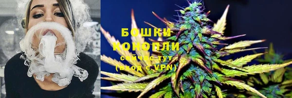 PSILOCYBIN Волоколамск