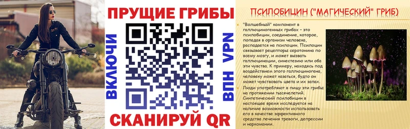 Псилоцибиновые грибы Psilocybine cubensis  Чёрмоз 